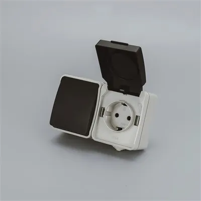 IP54 1 Gang Socket+1 Gang Switch