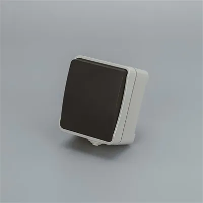 IP54 1 Gang Switch