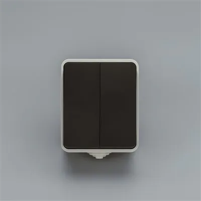 IP54 2 Gang Switch